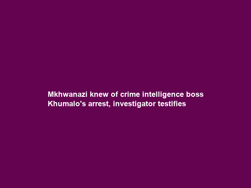 Mkhwanazi knew of crime intelligence boss Khumalo’s arrest, investigator testifies