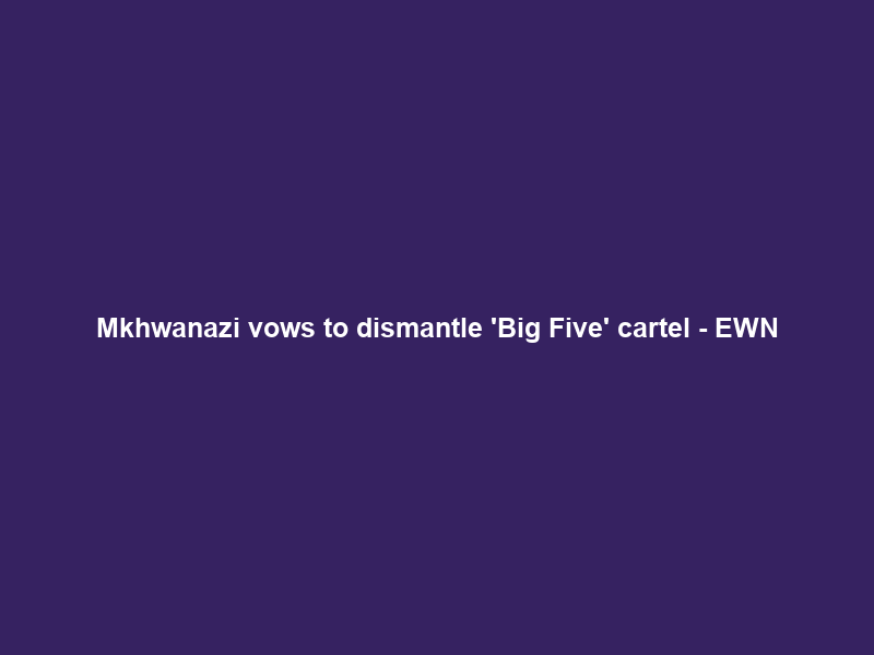 Mkhwanazi vows to dismantle ‘Big Five’ cartel – EWN