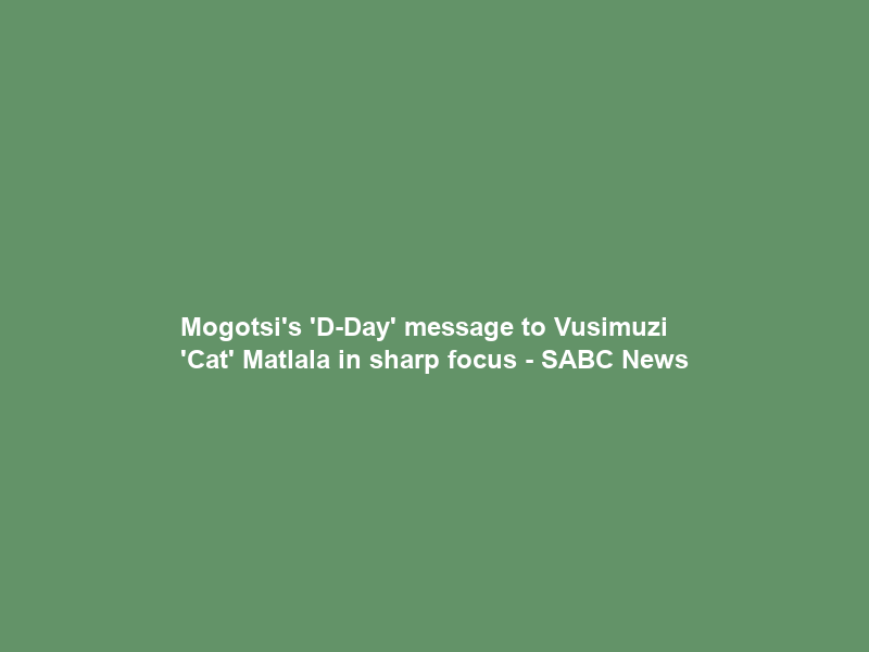 Mogotsi’s ‘D-Day’ message to Vusimuzi ‘Cat’ Matlala in sharp focus – SABC News