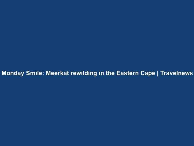 Monday Smile: Meerkat rewilding in the Eastern Cape | Travelnews
