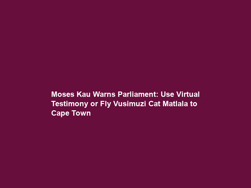 Moses Kau Warns Parliament: Use Virtual Testimony or Fly Vusimuzi “Cat” Matlala to Cape Town