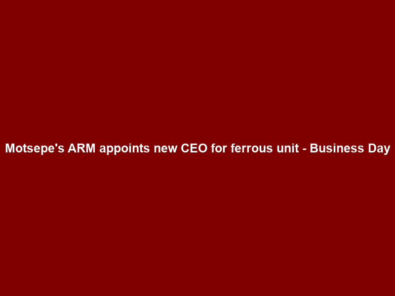 Motsepe’s ARM appoints new CEO for ferrous unit – Business Day