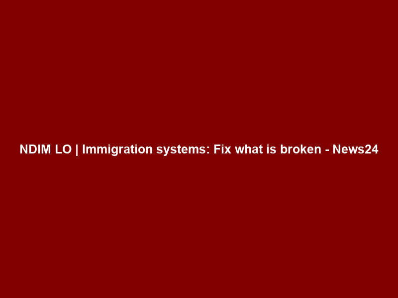 NDIM LO | Immigration systems: Fix what is broken – News24