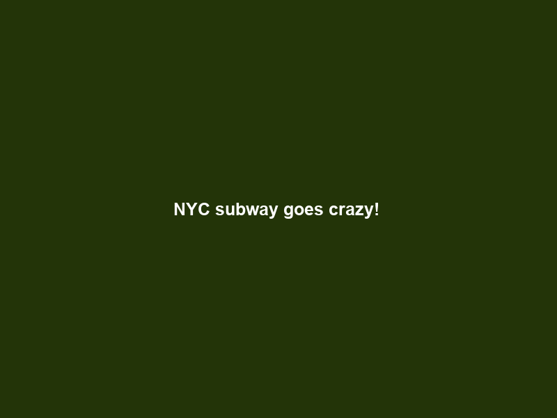 NYC subway goes crazy! #newyork #southafrica #interview – YouTube