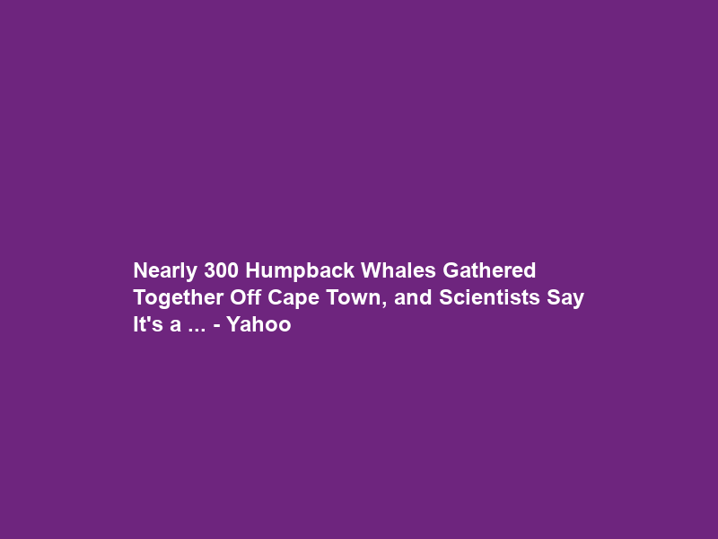 Nearly 300 Humpback Whales Gathered Together Off Cape Town, and Scientists Say It’s a … – Yahoo