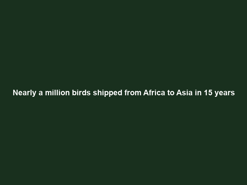 Nearly a million birds shipped from Africa to Asia in 15 years; canaries top the list
