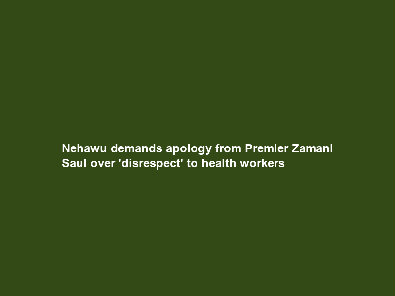 Nehawu demands apology from Premier Zamani Saul over ‘disrespect’ to health workers