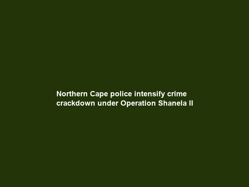 Northern Cape police intensify crime crackdown under Operation Shanela II