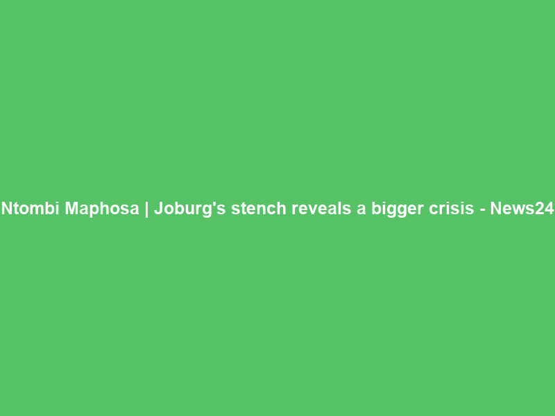 Ntombi Maphosa | Joburg’s stench reveals a bigger crisis – News24