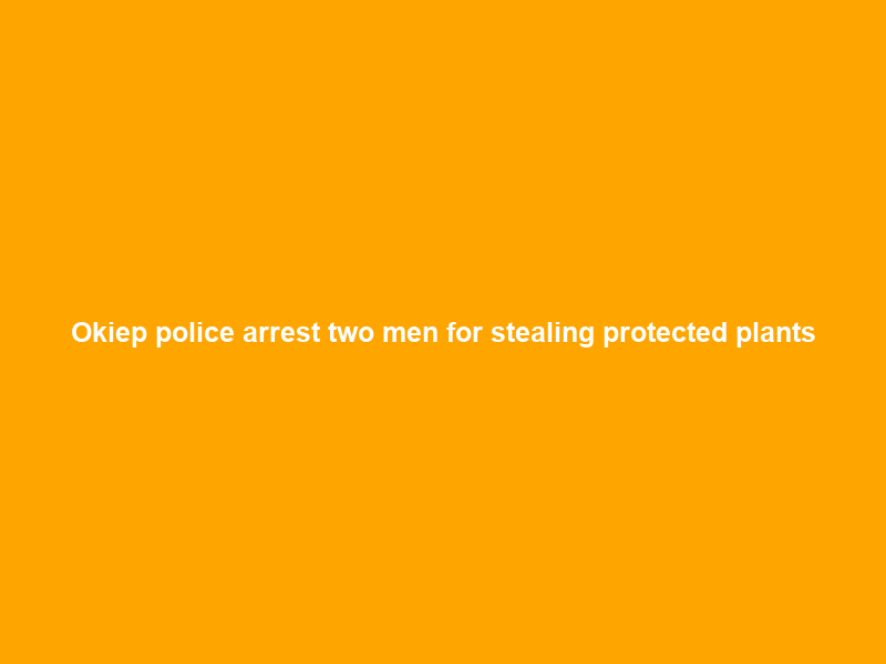 Okiep police arrest two men for stealing protected plants