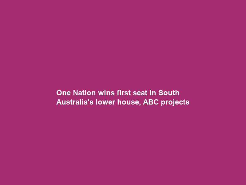 One Nation wins first seat in South Australia’s lower house, ABC projects