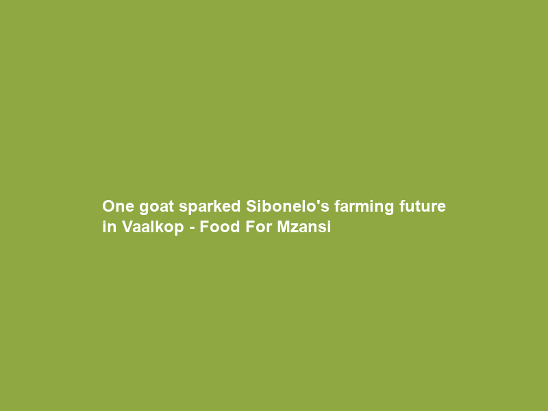 One goat sparked Sibonelo’s farming future in Vaalkop – Food For Mzansi