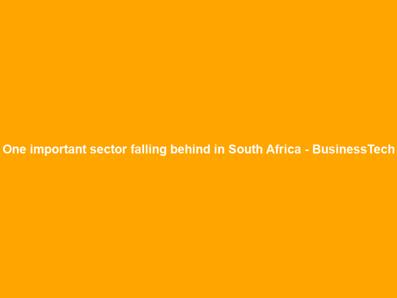 One important sector falling behind in South Africa – BusinessTech
