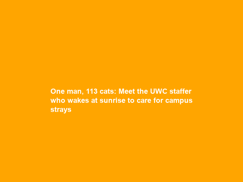 One man, 113 cats: Meet the UWC staffer who wakes at sunrise to care for campus strays