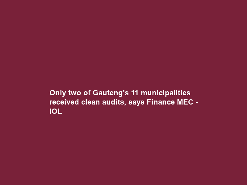 Only two of Gauteng’s 11 municipalities received clean audits, says Finance MEC – IOL
