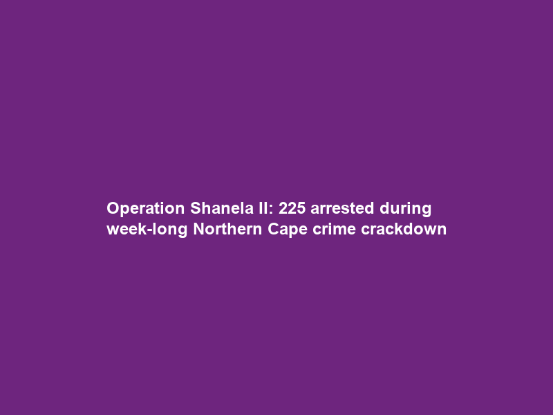 Operation Shanela II: 225 arrested during week-long Northern Cape crime crackdown