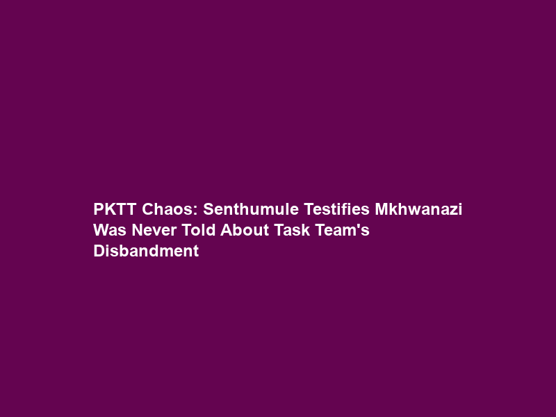 PKTT Chaos: Senthumule Testifies Mkhwanazi Was Never Told About Task Team’s Disbandment