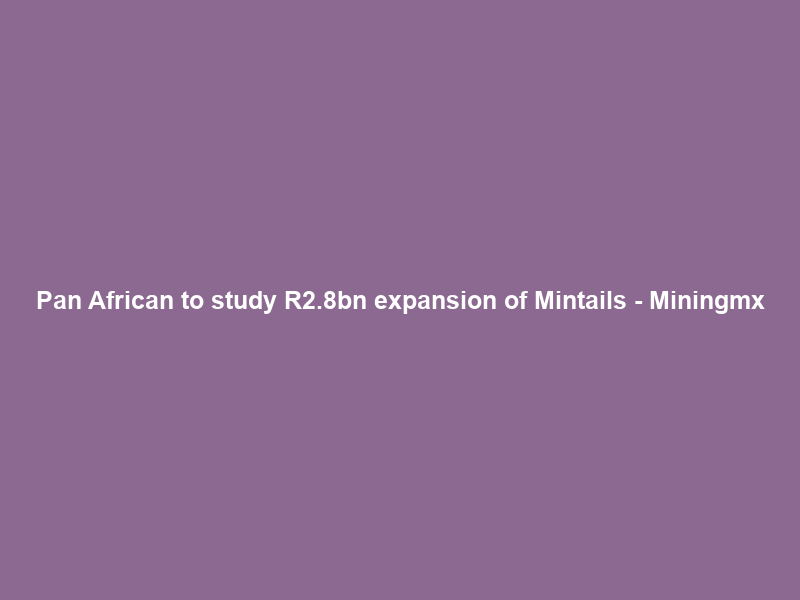 Pan African to study R2.8bn expansion of Mintails – Miningmx