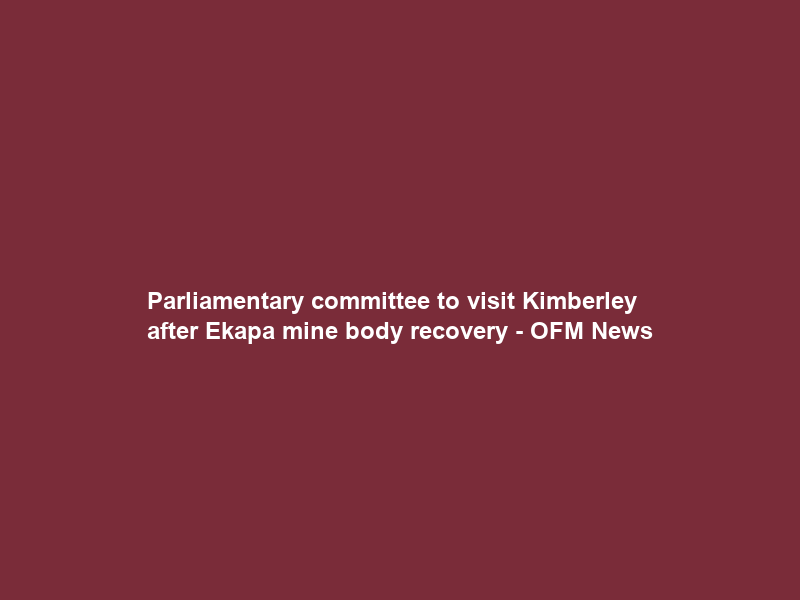 Parliamentary committee to visit Kimberley after Ekapa mine body recovery – OFM News