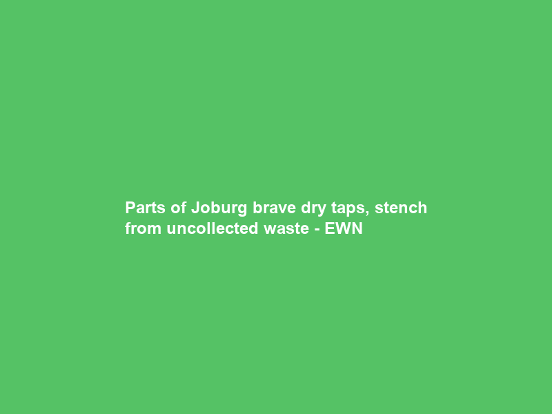 Parts of Joburg brave dry taps, stench from uncollected waste – EWN