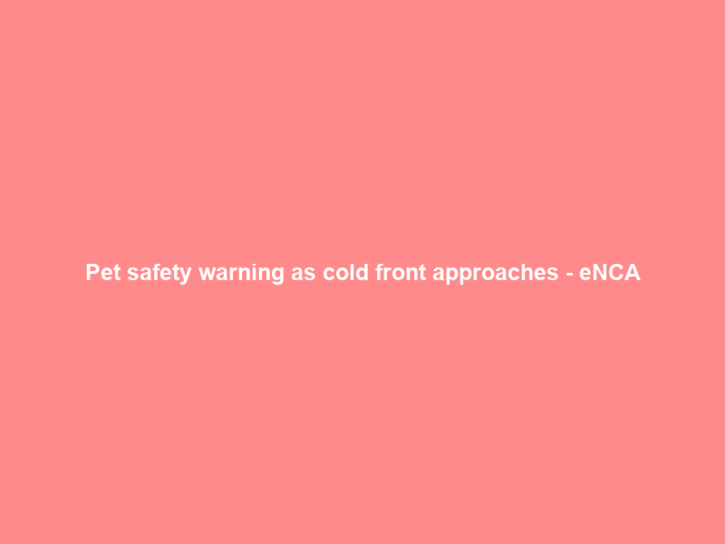 Pet safety warning as cold front approaches – eNCA