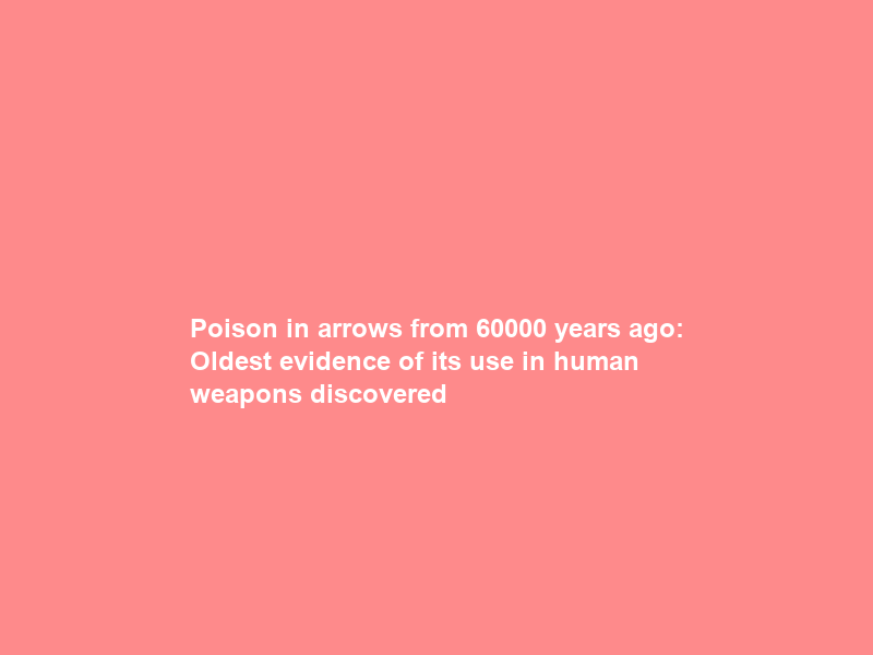 Poison in arrows from 60000 years ago: Oldest evidence of its use in human weapons discovered