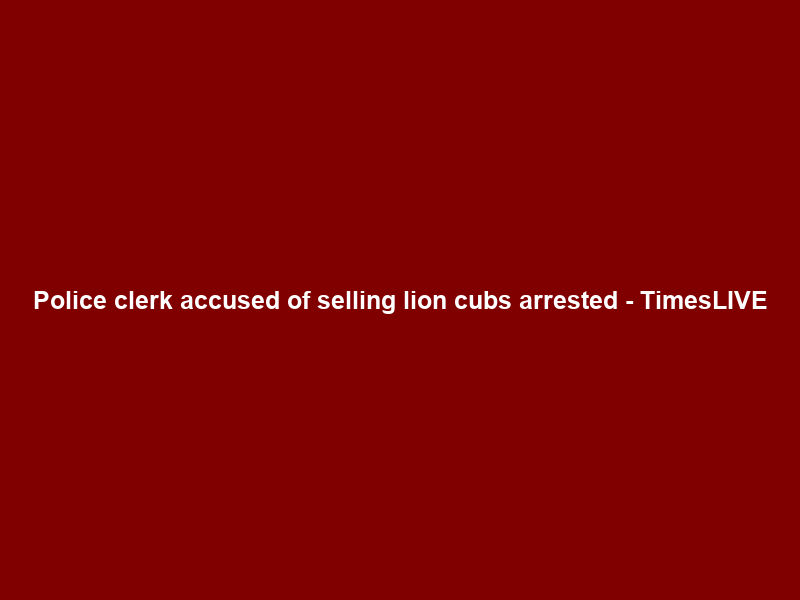 Police clerk accused of selling lion cubs arrested – TimesLIVE