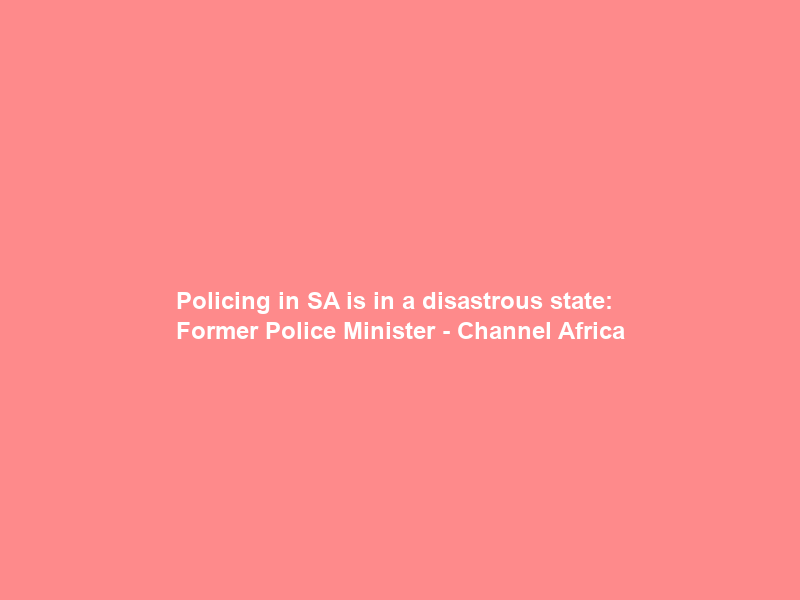 Policing in SA is in a disastrous state: Former Police Minister – Channel Africa