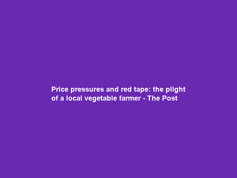 Price pressures and red tape: the plight of a local vegetable farmer – The Post