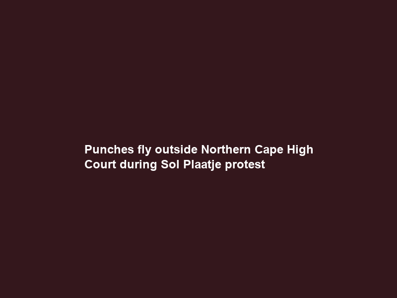 Punches fly outside Northern Cape High Court during Sol Plaatje protest