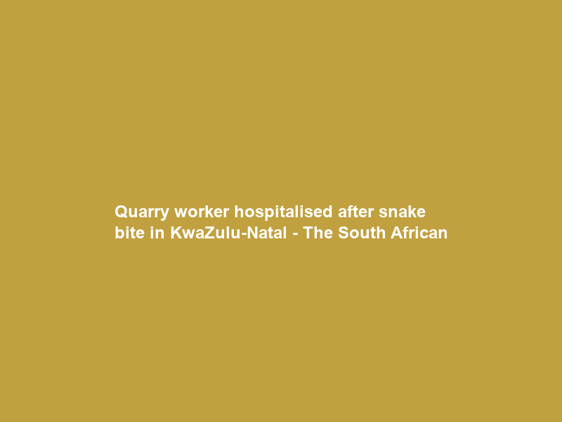 Quarry worker hospitalised after snake bite in KwaZulu-Natal – The South African