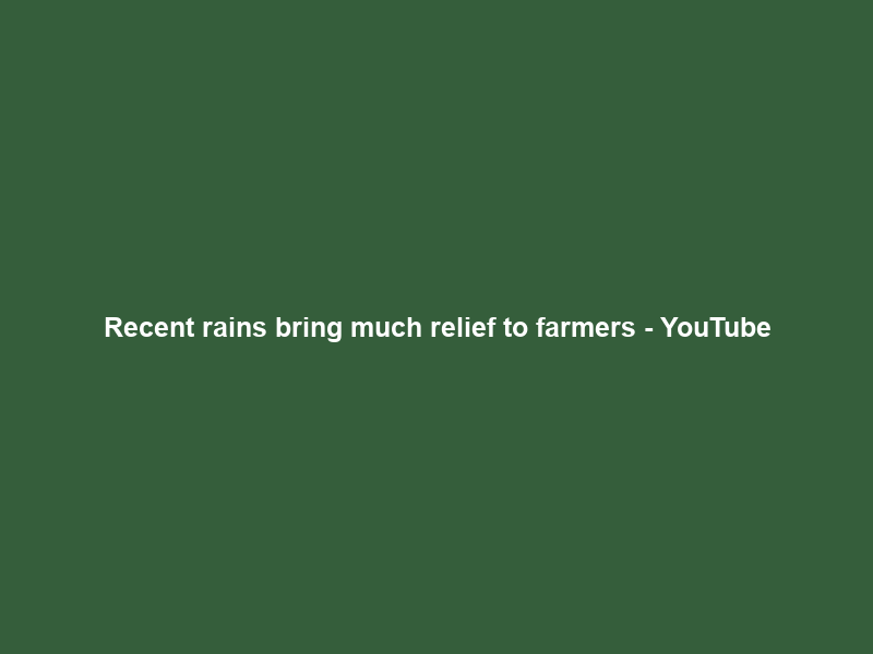 Recent rains bring much relief to farmers – YouTube