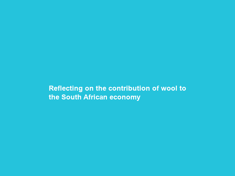 Reflecting on the contribution of wool to the South African economy