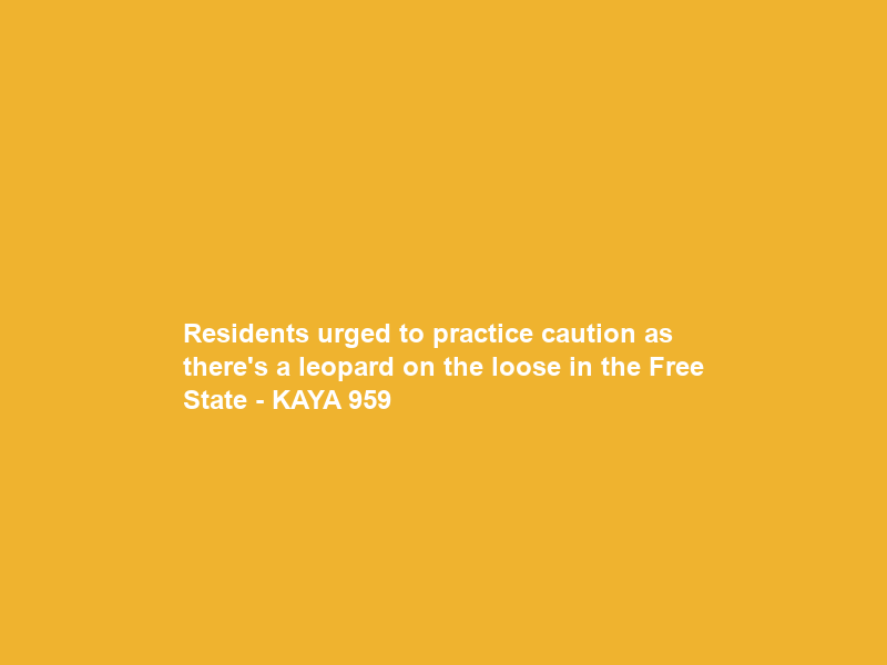 Residents urged to practice caution as there’s a leopard on the loose in the Free State – KAYA 959