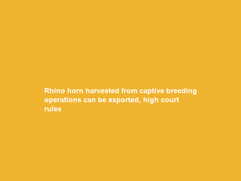 Rhino horn harvested from captive breeding operations can be exported, high court rules
