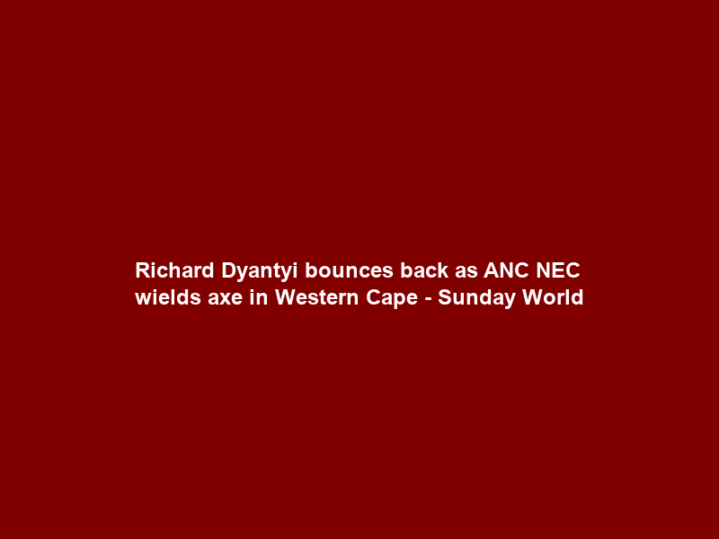 Richard Dyantyi bounces back as ANC NEC wields axe in Western Cape – Sunday World