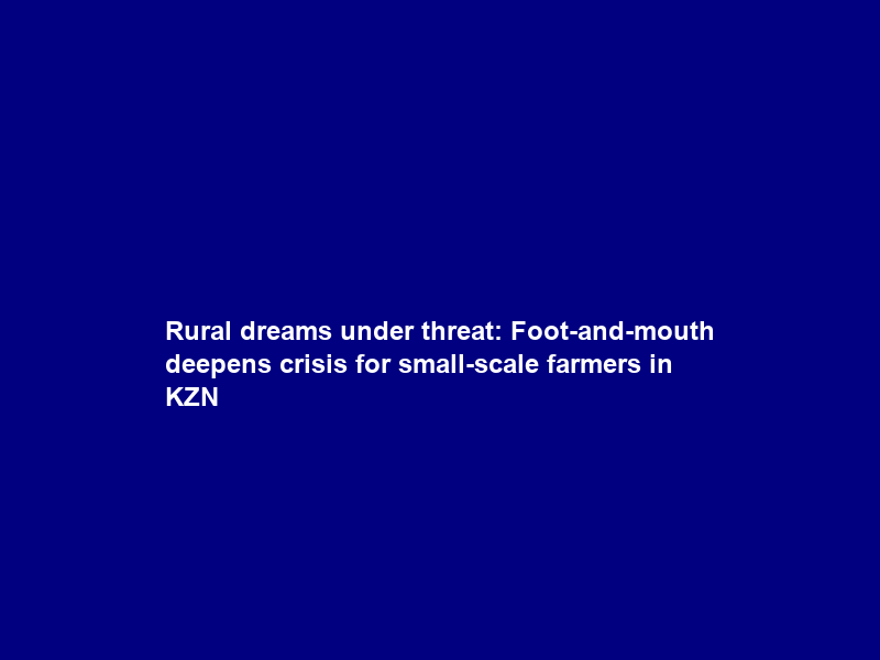 Rural dreams under threat: Foot-and-mouth deepens crisis for small-scale farmers in KZN