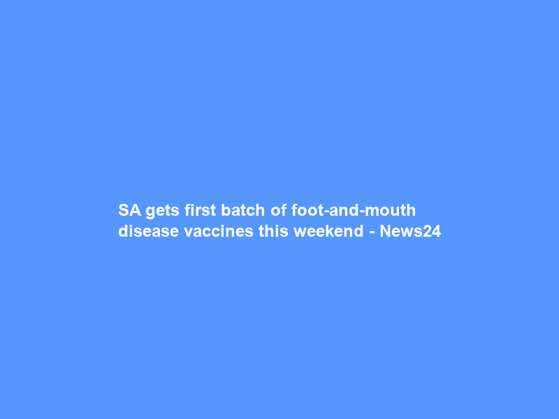 SA gets first batch of foot-and-mouth disease vaccines this weekend – News24