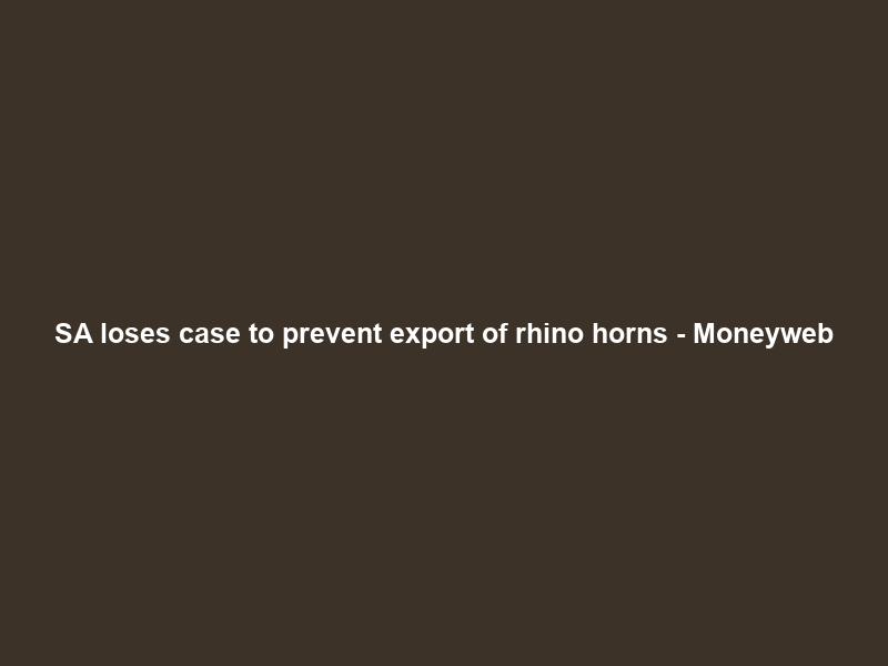 SA loses case to prevent export of rhino horns – Moneyweb