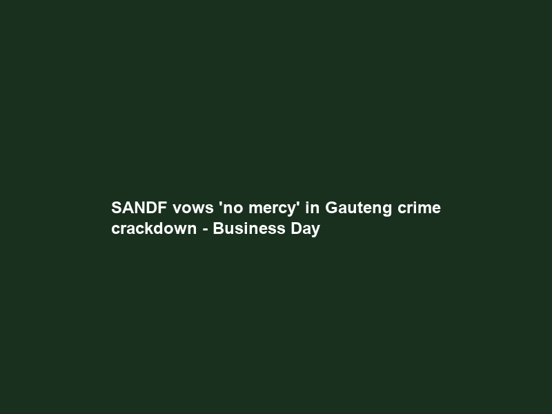 SANDF vows ‘no mercy’ in Gauteng crime crackdown – Business Day