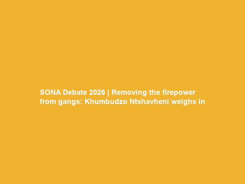 SONA Debate 2026 | Removing the firepower from gangs: Khumbudzo Ntshavheni weighs in