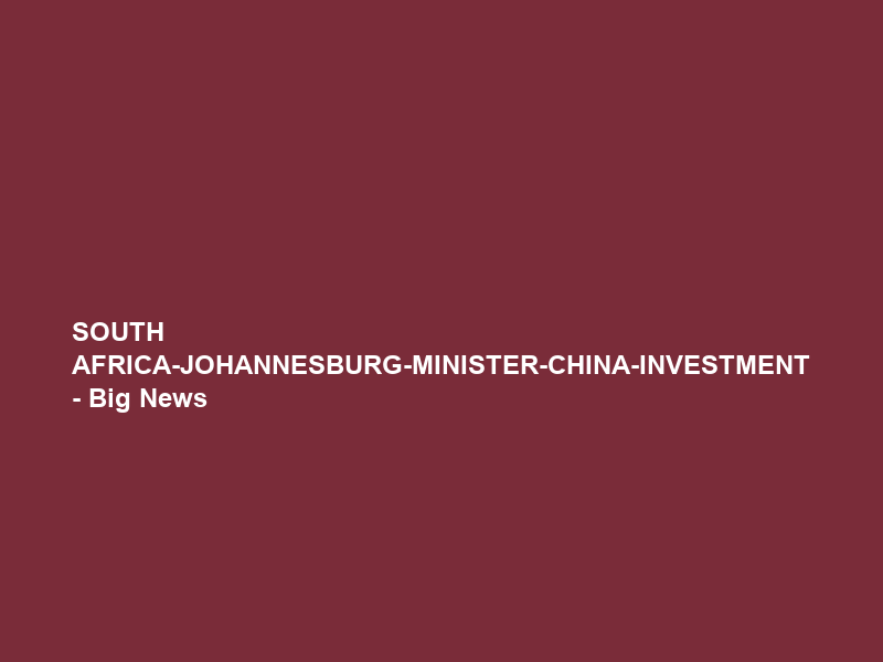 SOUTH AFRICA-JOHANNESBURG-MINISTER-CHINA-INVESTMENT – Big News