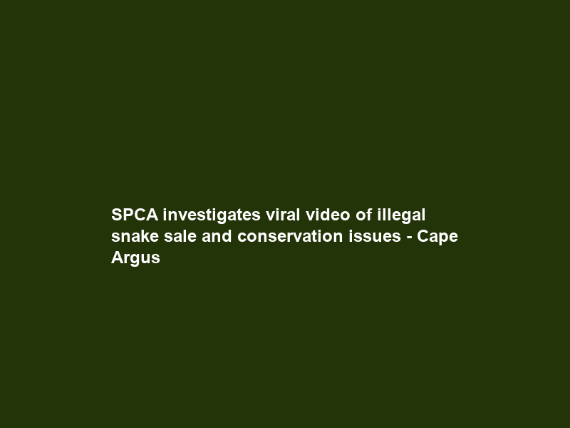 SPCA investigates viral video of illegal snake sale and conservation issues – Cape Argus