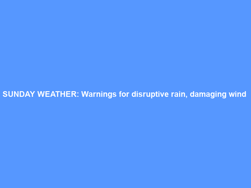 SUNDAY WEATHER: Warnings for disruptive rain, damaging wind & waves, and … – Snow Report