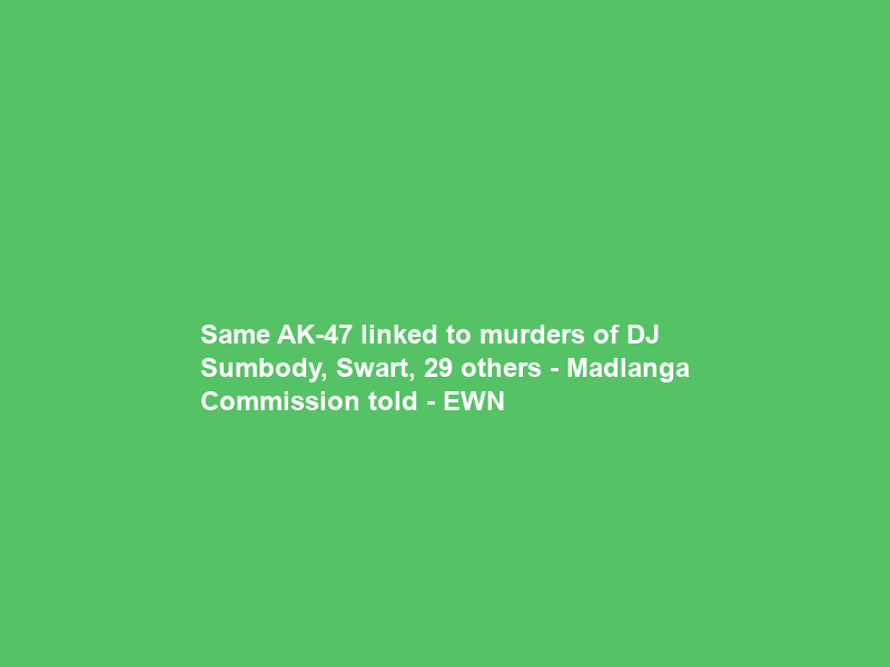 Same AK-47 linked to murders of DJ Sumbody, Swart, 29 others – Madlanga Commission told – EWN