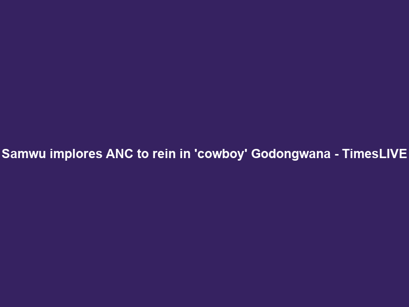 Samwu implores ANC to rein in ‘cowboy’ Godongwana – TimesLIVE