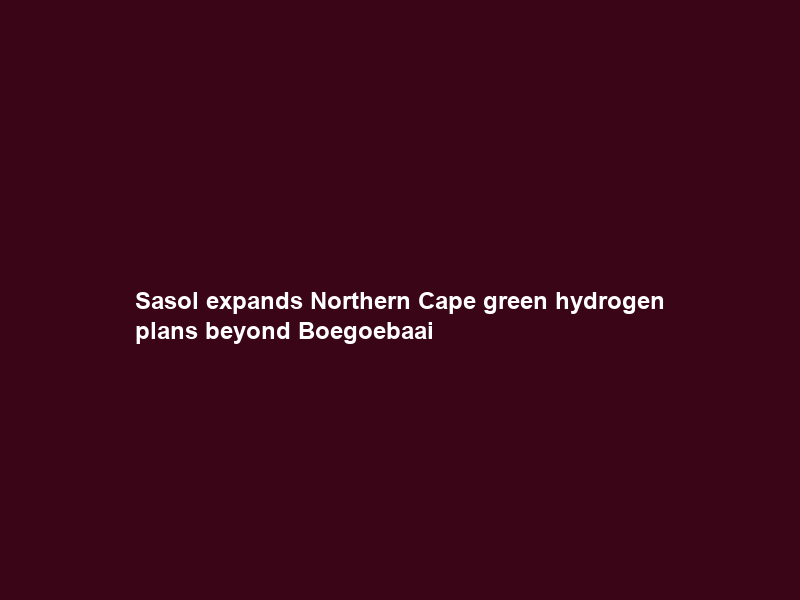 Sasol expands Northern Cape green hydrogen plans beyond Boegoebaai