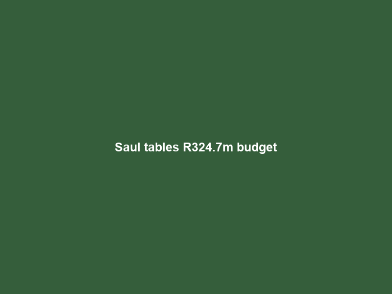 Saul tables R324.7m budget