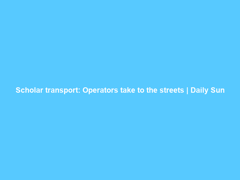 Scholar transport: Operators take to the streets | Daily Sun