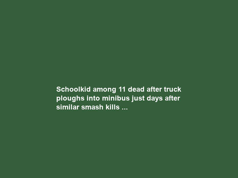Schoolkid among 11 dead after truck ploughs into minibus just days after similar smash kills …